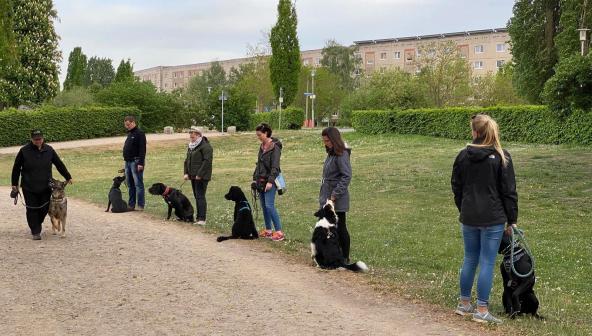 Hundebegegnungen üben