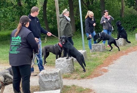 Nutzen der Umwelt fürs Training