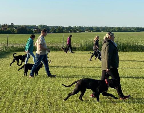 Mitarbeiten trotz anderer Mensch-Hund-Teams