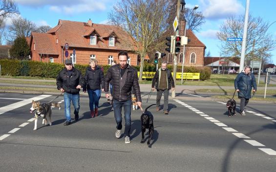 Überquerung der Hauptverkehrsstraße