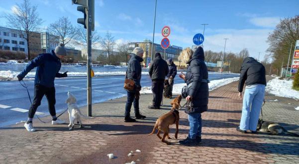 Sitz und Platz Training beim Warten an der Ampel