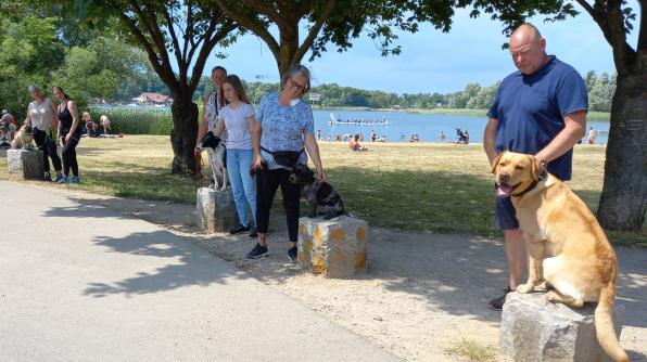 Umwelt nutzen für das tägliche Training