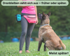 Aufmerksamkeit durch Training Frau trainiert mit Malinois auf Wiese