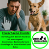 Frustrierter Hundehalter auf dem Sofa mit lebhaftem Hund – Einstieg ins Basismodul bei Steffis Hundeschule