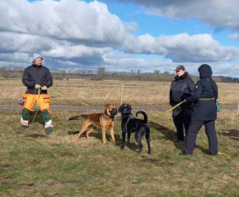 HundeFREIzeit