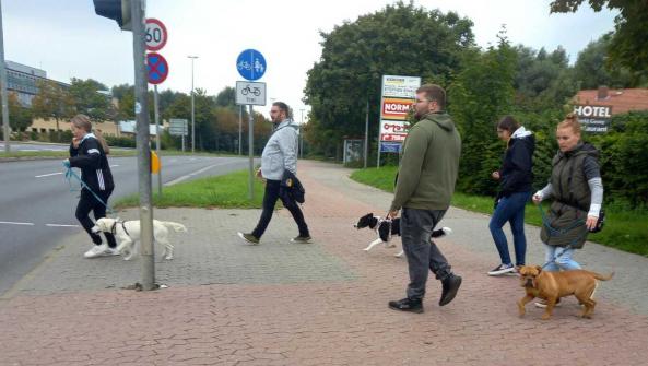 gemeinsam über die Hauptverkehrsstraße