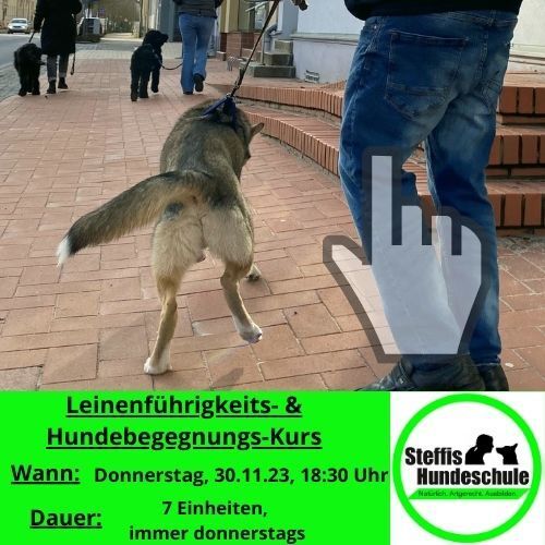 Hundebegegnungen, Aggression